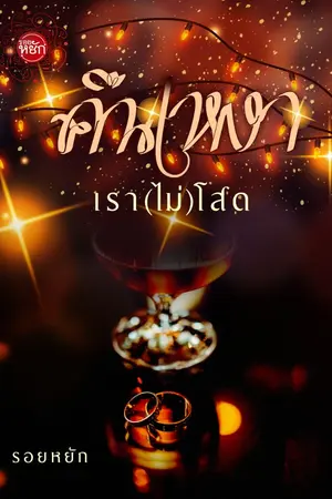 ปกนิยาย คืนเหงาเรา(ไม่)โสด