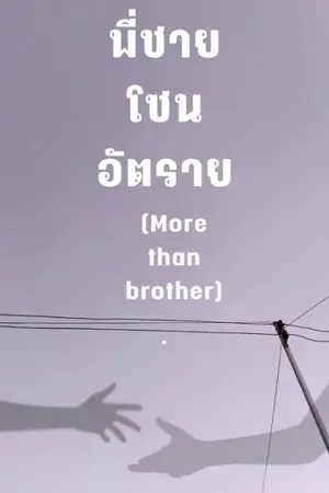 ปกนิยาย พี่ชายโซนอันตราย (More Than Brother)