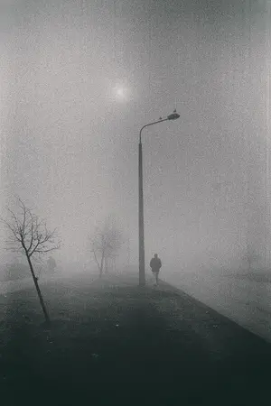 ปกนิยาย คืนหมอกลง