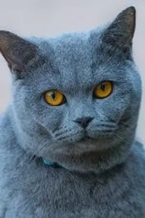 ปกนิยาย นิราศ ม.เอีย  เมีย(ไม่มีอีบุ๊คแน่ ๆ เลย)