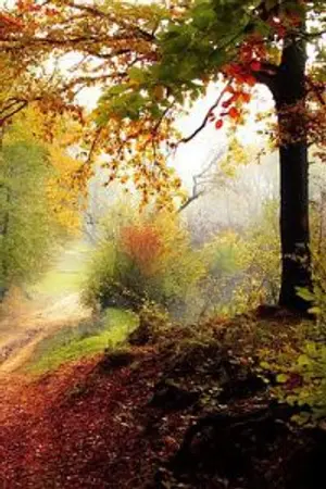 ปกนิยาย ภพรักย้อนอดีต