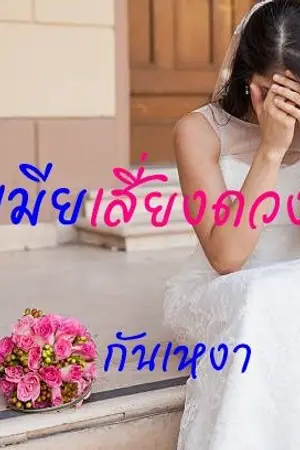 ปกนิยาย เมียเสี่ยงดวง