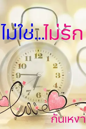 ปกนิยาย ไม่ใช่...ไม่รัก