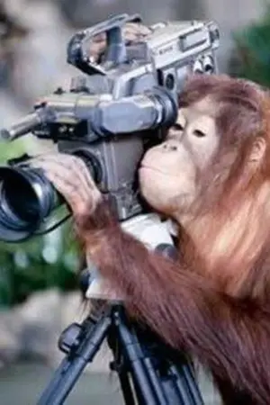 ปกนิยาย [Fic ALL Anime] The Cameraman