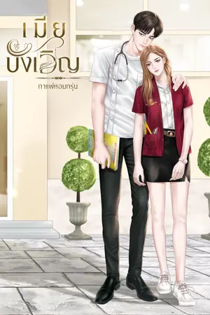 ปกนิยาย เมียบังเอิญ (รีรัน อ่านฟรีมี Ebook)