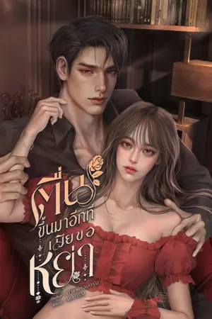 ปกนิยาย ตื่นขึ้นมาอีกครั้งเมียขอหย่า