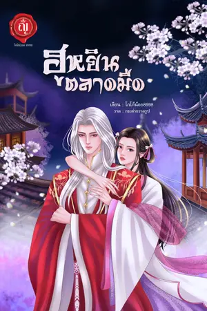 ปกนิยาย ฮูหยินตลาดมืด
