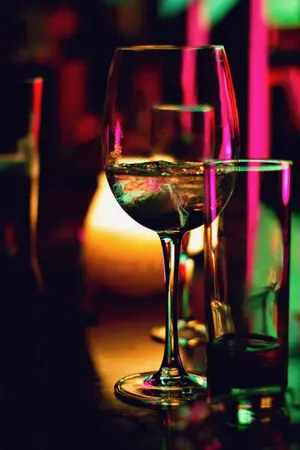 ปกนิยาย เมียเก(ล้)า