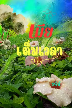 ปกนิยาย เมียเต็มเวลา