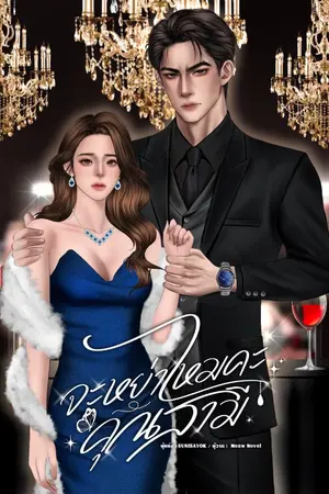 ปกนิยาย จะหย่าไหมคะคุณสามี