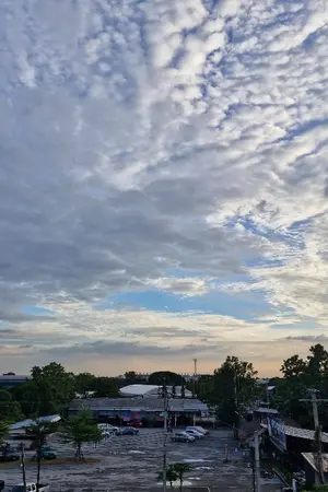 ปกนิยาย เอาตัวรอดหลังหายนะ