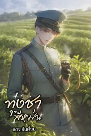 ปกนิยาย ทุ่งชาสีหม่น