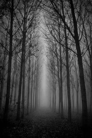 ปกนิยาย เรื่องผีผี👻