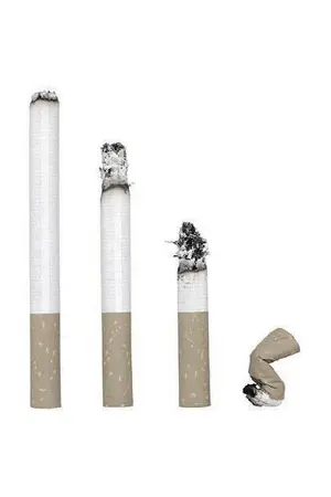 ปกนิยาย (FanFic Sakamoto Days) Art Deco / NaguShin