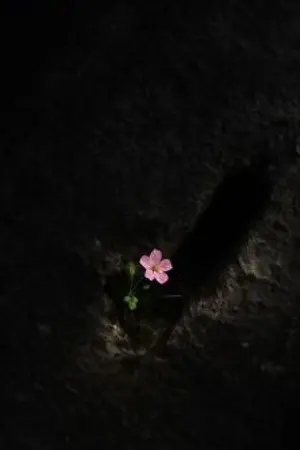 ปกนิยาย เรื่องของเธอคนนั้น