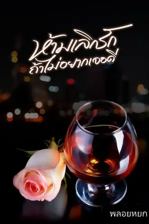 ปกนิยาย ห้ามเลิกรักถ้าไม่อยากเจอดี | มี Ebook