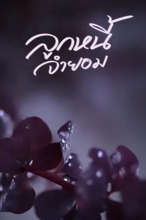 ปกนิยาย ลูกหนี้จำยอม (เจ้าหนี้โหดมาก - พ่อเลี้ยงไกรวิชญ์กับยายต้วมเตี้ยม)