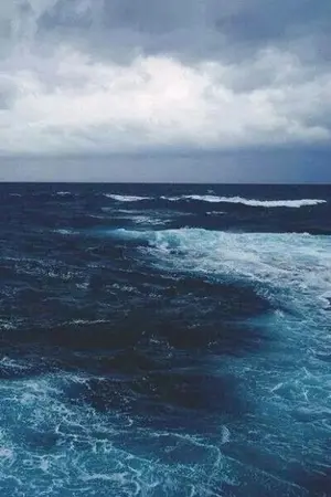 ปกนิยาย (Fic bnha /mha ) OCEAN