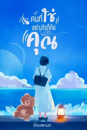 ปกนิยาย คนที่ใช่อย่างไรก็คือคุณ