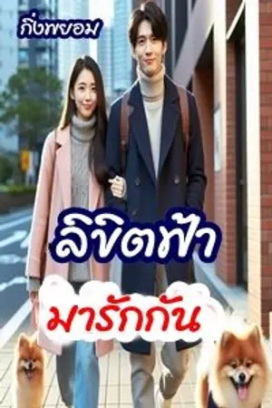 ปกนิยาย ลิขิตฟ้ามารักกัน