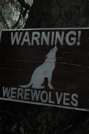 ปกนิยาย หมาดุ  Fic Vampire Twilight