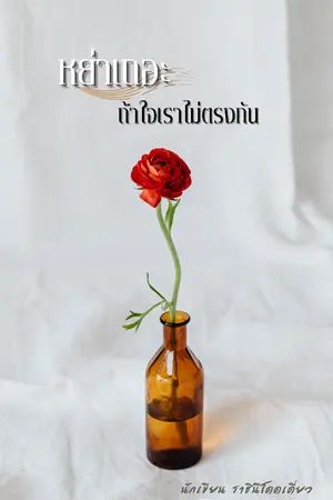 ปกนิยาย หย่าเถอะ ถ้าใจเราไม่ตรงกัน