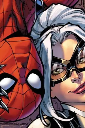 ปกนิยาย [Marvel] แมงมุมสองหน้ากับจอมโจรแมวเหมียวเจ้าเสน่ห์