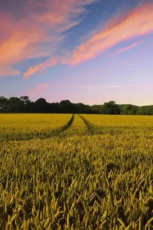 ปกนิยาย ข้าผู้นี้จะนำพาทุดคนสู่ความสำเร็จเอง