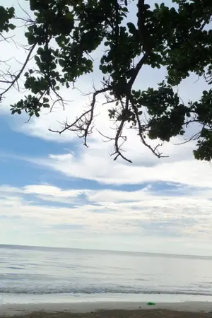 ปกนิยาย "  เจียงหยู สู้ชีวิตพิชิตฝัน " 