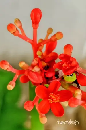 ปกนิยาย จิตรกรวาดภาพเหมือนข้ามมิติมาเป็นแม่เลี้ยงของเด็กแฝดผู้ร่ำรวย