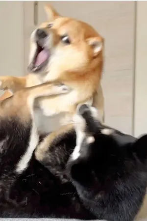 ปกนิยาย หนทางการบำบัดตัวละครหลัก [สวมใส่เร็ว]