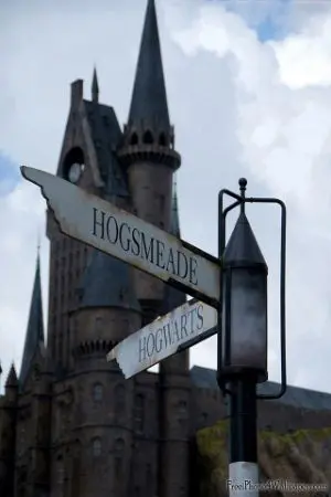 ปกนิยาย [Fic Harry Potter] The Other Me [Darco x OC]