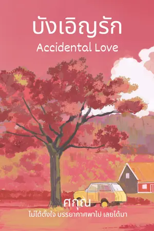 ปกนิยาย บังเอิญรัก.