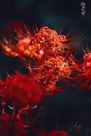 ปกนิยาย ศีตลาโลหิต (จบแล้ว)