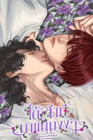 ปกนิยาย ได้สามีมาแบบงงๆ