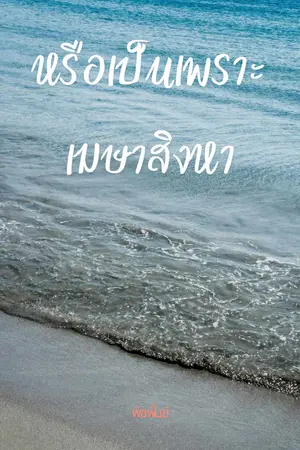 ปกนิยาย หรือเป็นเพราะเมษาสิงหา(มีe-book)