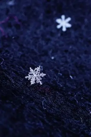 ปกนิยาย Fic frozen x rise of guardians  [เอลซ่า x  แจ็ค ฟรอสต์]   ความทรงจำเมื่อวันวาน