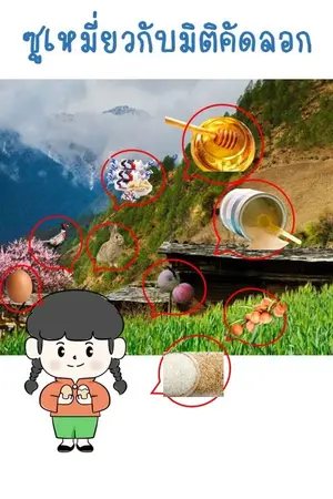 ปกนิยาย ซูเหมี่ยวกับมิติคัดลอก