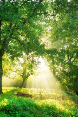 ปกนิยาย อะรีนโอเมก้าสุดแปลก