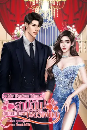 ปกนิยาย My Perfect Man | สามีฉัน! รับประกันความเพอร์เฟกต์