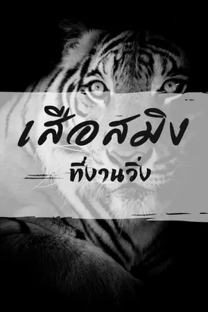 ปกนิยาย เสือสมิงที่งานวิ่ง