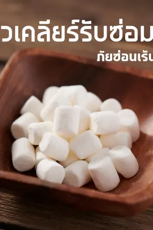 ปกนิยาย นิวเคลียร์รับซ่อม: ภัยซ่อนเร้น