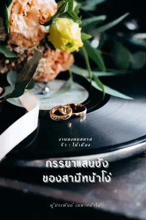 ปกนิยาย ภรรยาแสนชังของสามีหน้าโง่