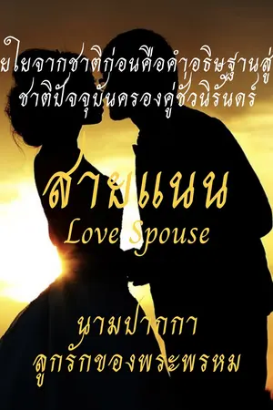 ปกนิยาย