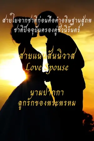 ปกนิยาย นวนิยาย สายแนนสันนิวาส