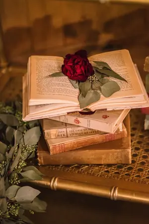 ปกนิยาย I’m Harry twin sister (fanfic Harry Potter)