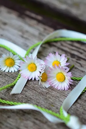 ปกนิยาย ด้วยรัก...และรัก