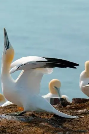 ปกนิยาย อ่าวน้ำตา