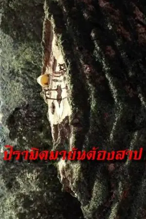 ปกนิยาย ปิรามิดมายันต้องสาป