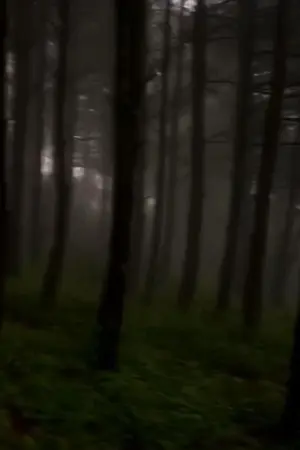 ปกนิยาย ดวงใจของพี่